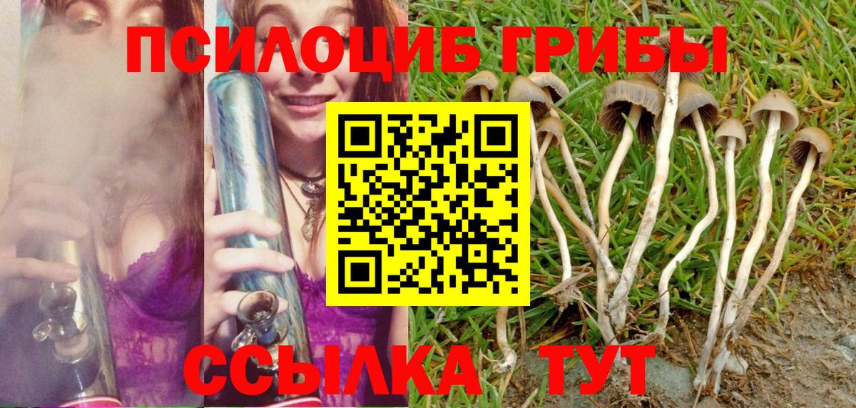 Галлюциногенные грибы Cubensis Донской
